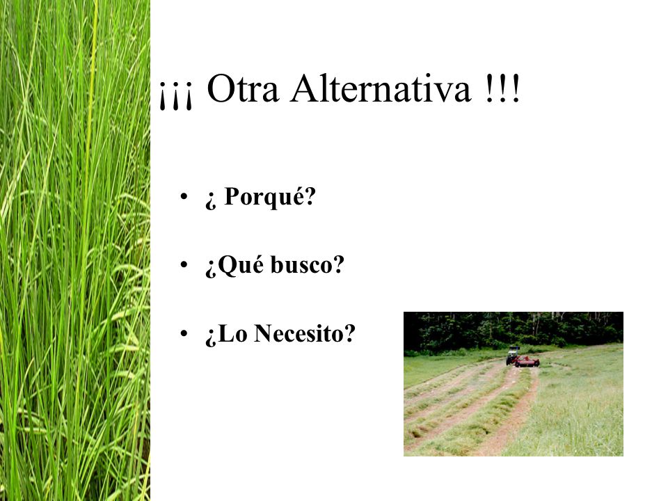 ¡¡¡ Otra Alternativa !!! ¿ Porqué ¿Qué busco ¿Lo Necesito