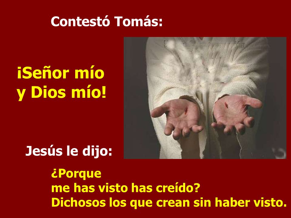¡Señor mío y Dios mío! Contestó Tomás: Jesús le dijo: