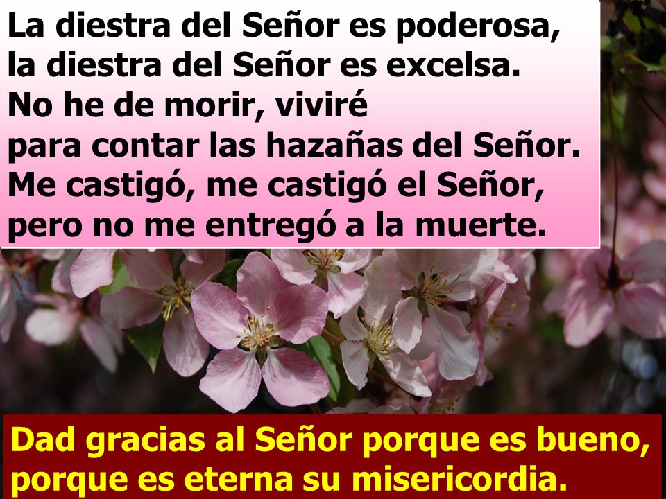La diestra del Señor es poderosa, la diestra del Señor es excelsa