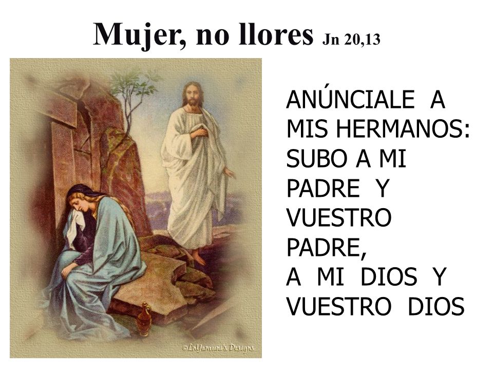 Mujer, no llores Jn 20,13 ANÚNCIALE A MIS HERMANOS: