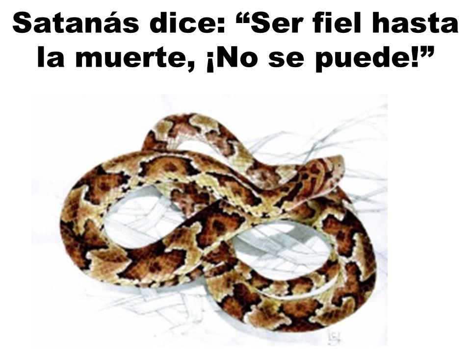 Satanás dice: Ser fiel hasta la muerte, ¡No se puede!