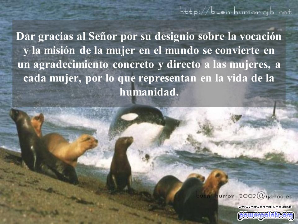 Dar gracias al Señor por su designio sobre la vocación y la misión de la mujer en el mundo se convierte en un agradecimiento concreto y directo a las mujeres, a cada mujer, por lo que representan en la vida de la humanidad.