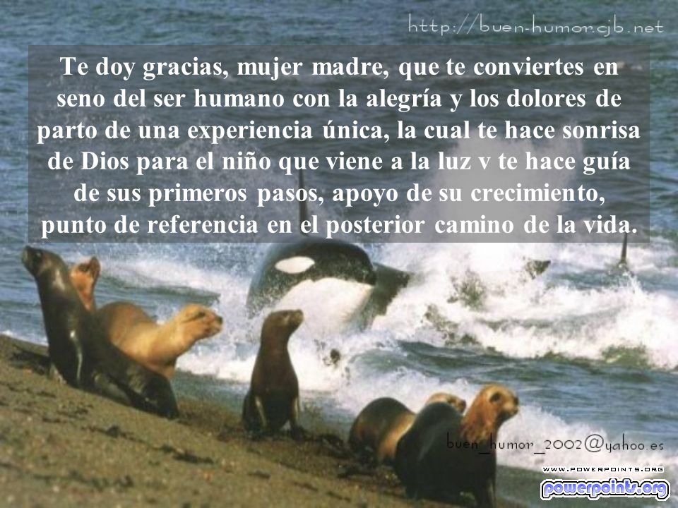 Te doy gracias, mujer madre, que te conviertes en seno del ser humano con la alegría y los dolores de parto de una experiencia única, la cual te hace sonrisa de Dios para el niño que viene a la luz v te hace guía de sus primeros pasos, apoyo de su crecimiento, punto de referencia en el posterior camino de la vida.
