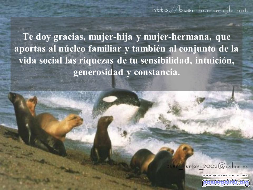 Te doy gracias, mujer-hija y mujer-hermana, que aportas al núcleo familiar y también al conjunto de la vida social las riquezas de tu sensibilidad, intuición, generosidad y constancia.