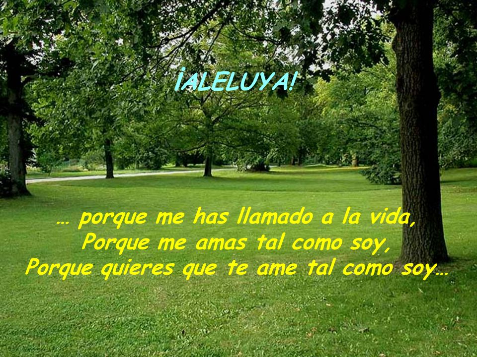 ¡ALELUYA! … porque me has llamado a la vida,
