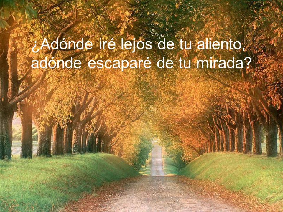 ¿Adónde iré lejos de tu aliento, adónde escaparé de tu mirada