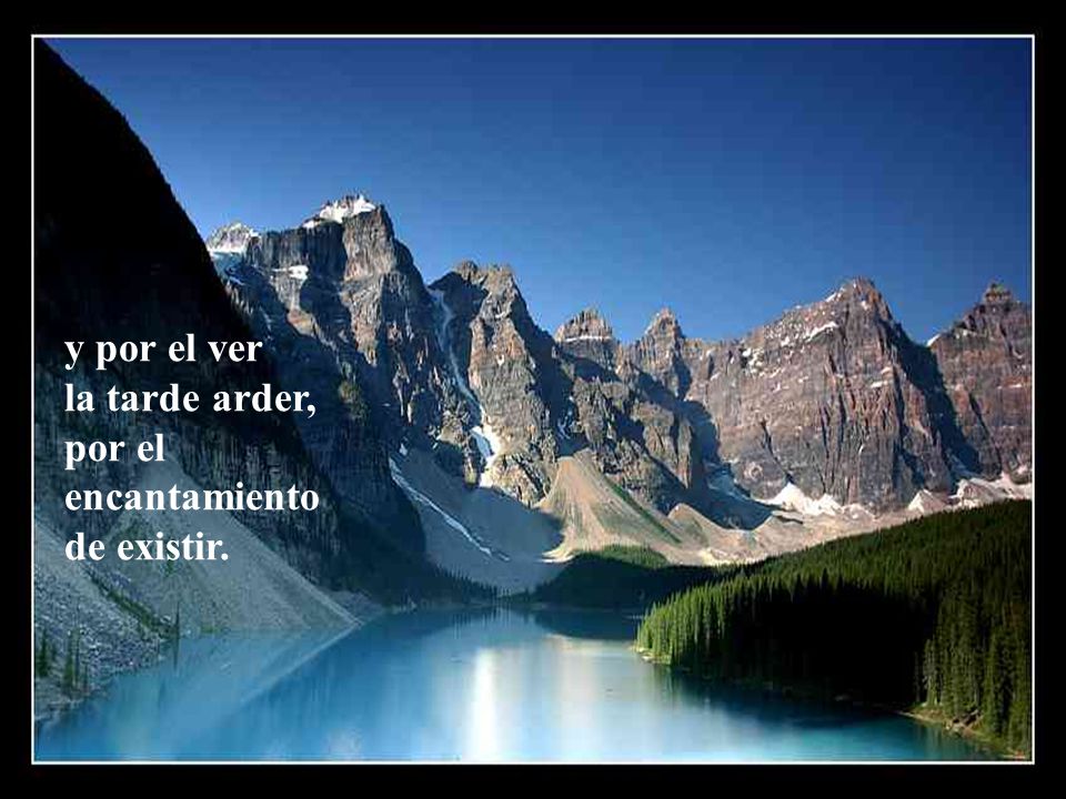 y por el ver la tarde arder, por el encantamiento de existir.