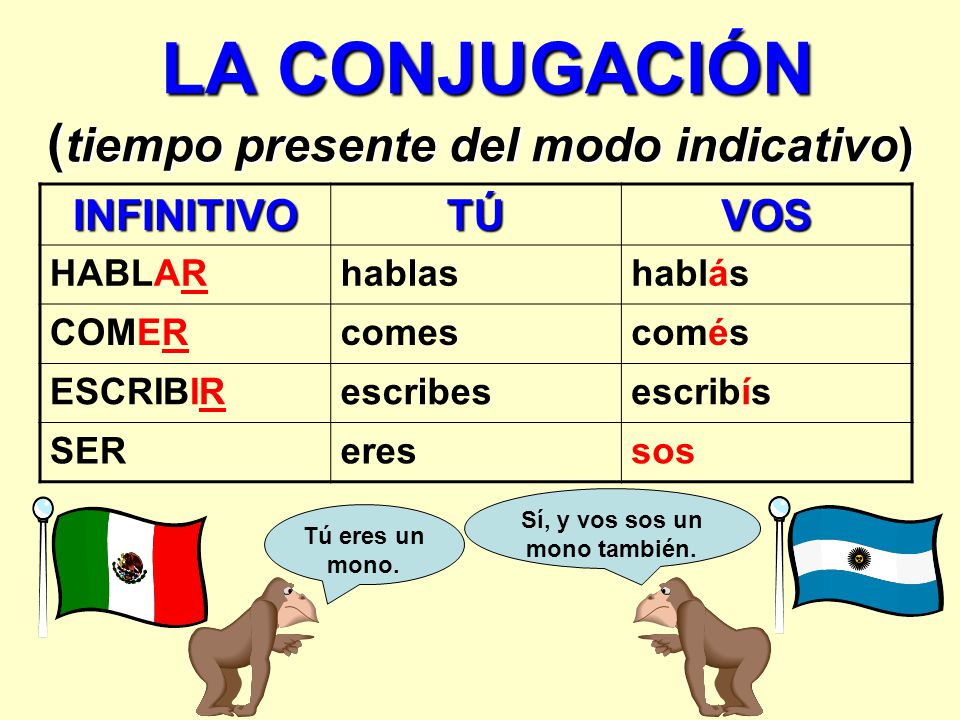 LA CONJUGACIÓN (tiempo presente del modo indicativo)