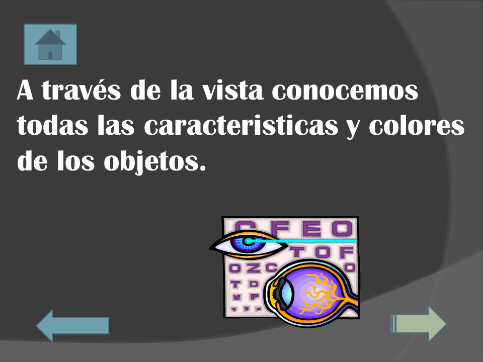 A través de la vista conocemos todas las caracteristicas y colores de los objetos.