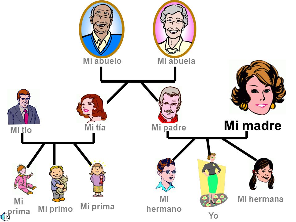 Mi madre Mi abuelo Mi abuela Mi tía Mi padre Mi tío Mi hermano
