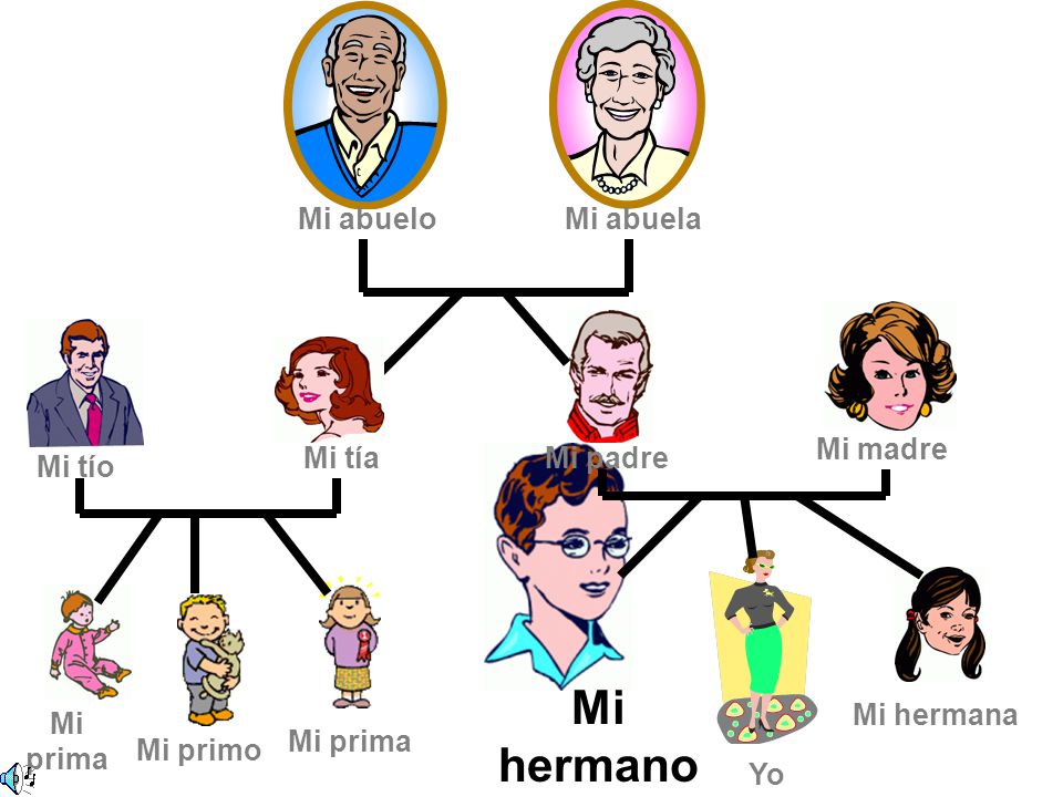 Mi hermano Mi abuelo Mi abuela Mi madre Mi tía Mi padre Mi tío