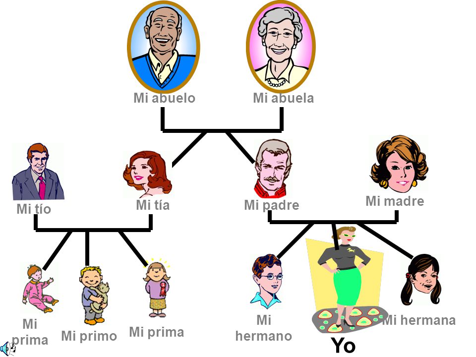 Yo Mi abuelo Mi abuela Mi madre Mi tía Mi padre Mi tío Mi hermano