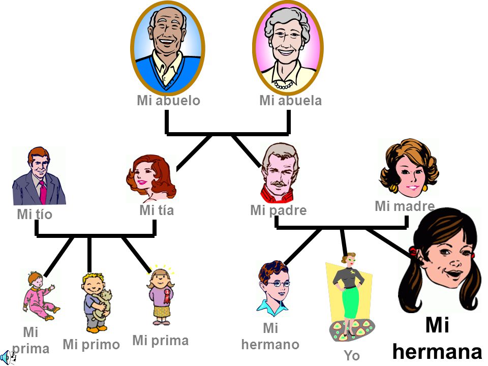 Los miembros de la familia ppt descargar