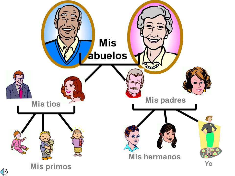 Mis abuelos Mis padres Mis tíos Mis hermanos Yo Mis primos