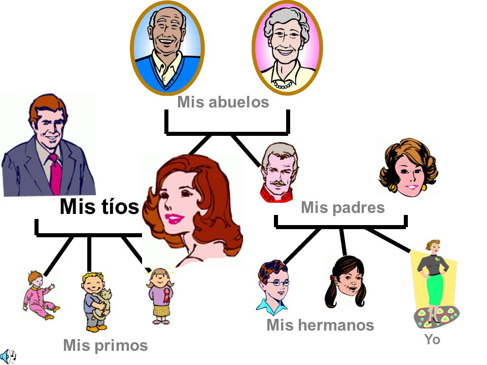 Mis abuelos Mis tíos Mis padres Mis hermanos Yo Mis primos