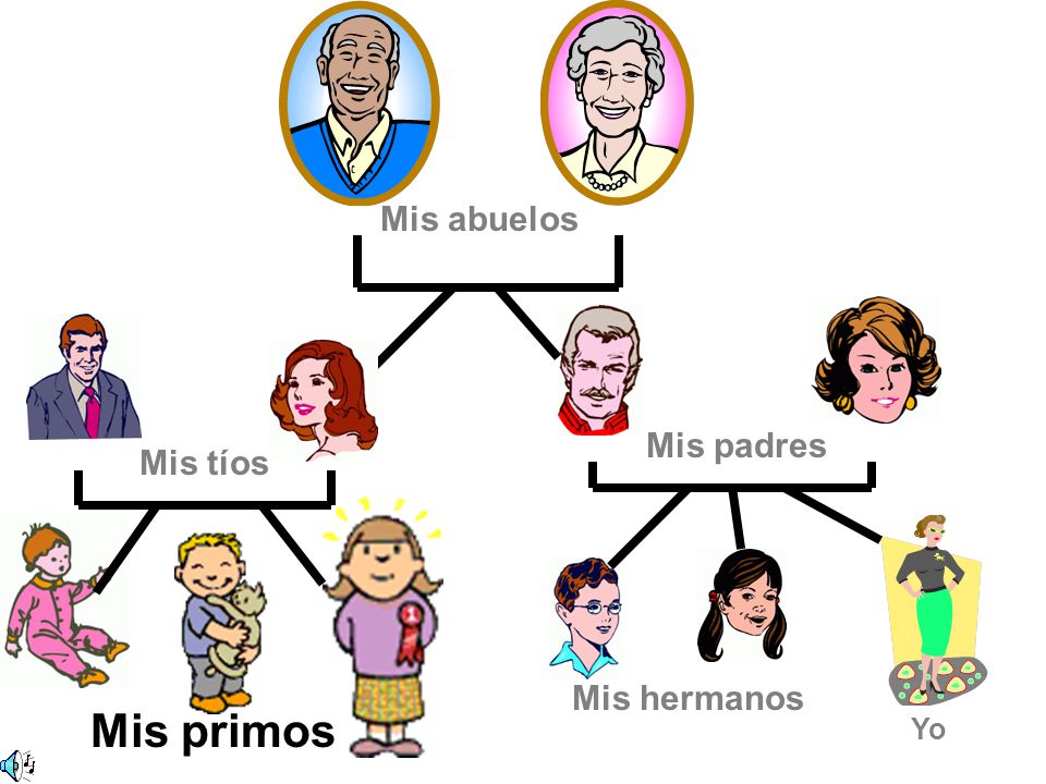Mis abuelos Mis padres Mis tíos Mis hermanos Mis primos Yo