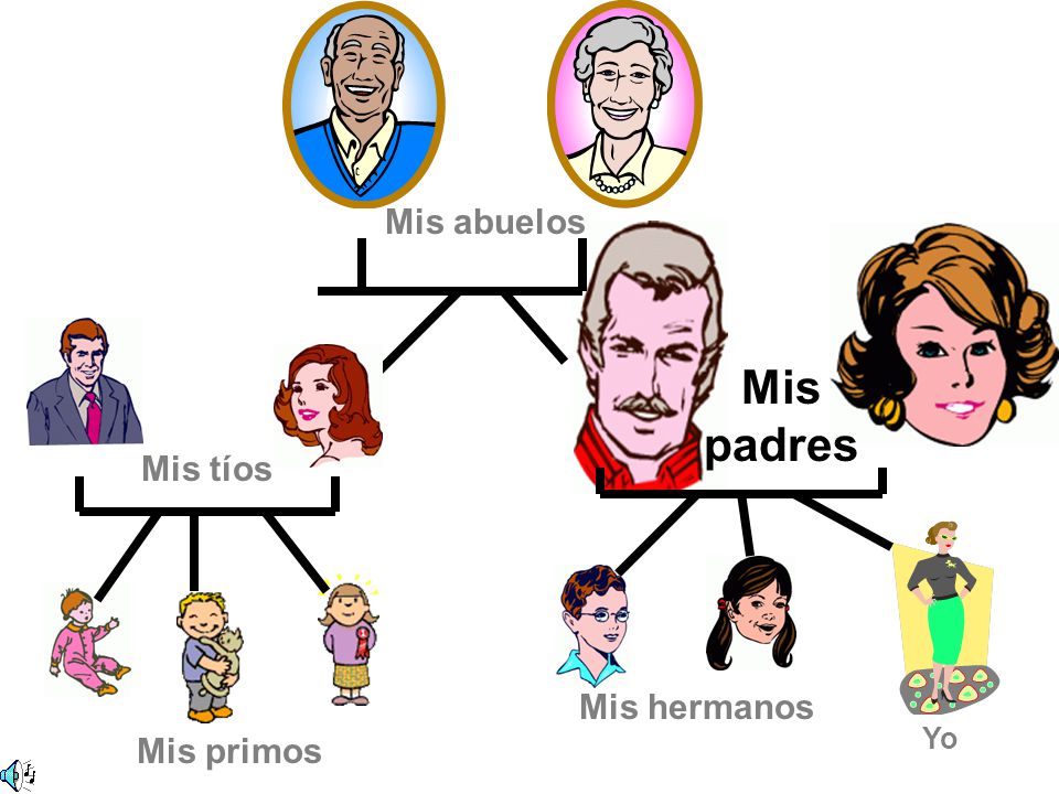 Mis abuelos Mis padres Mis tíos Mis hermanos Yo Mis primos