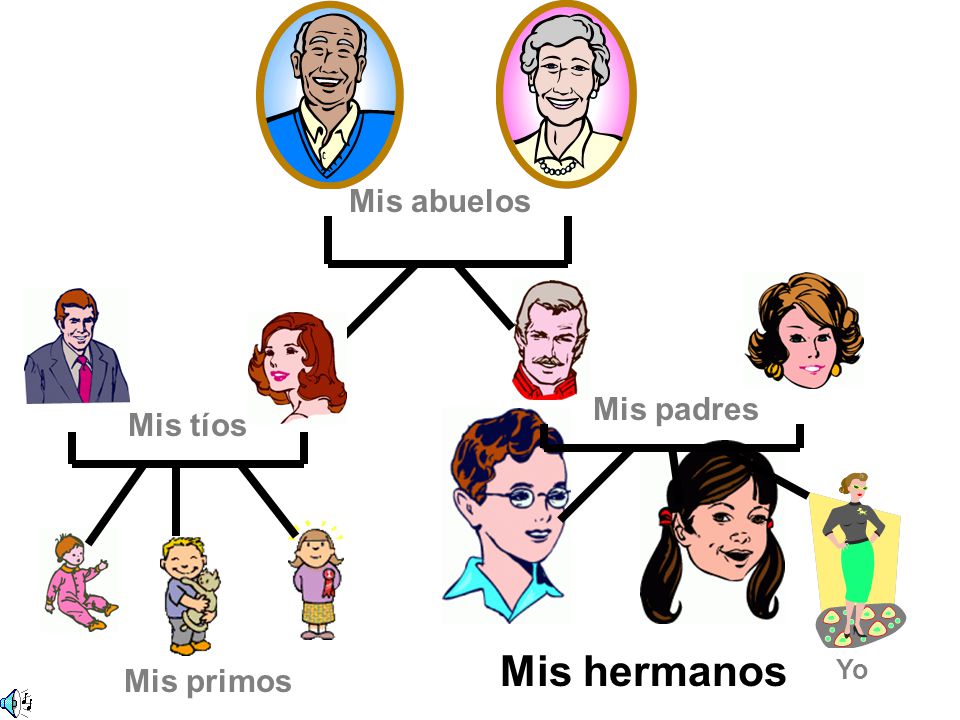 Mis abuelos Mis padres Mis tíos Mis hermanos Yo Mis primos