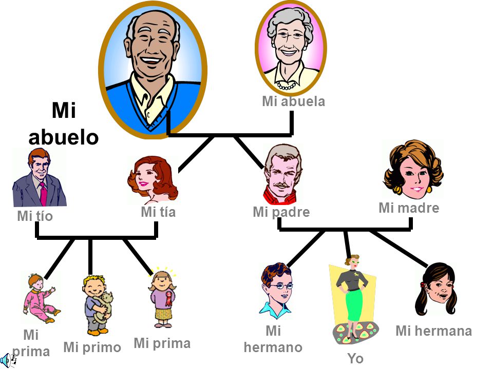 Mi abuelo Mi abuela Mi madre Mi tía Mi padre Mi tío Mi hermano