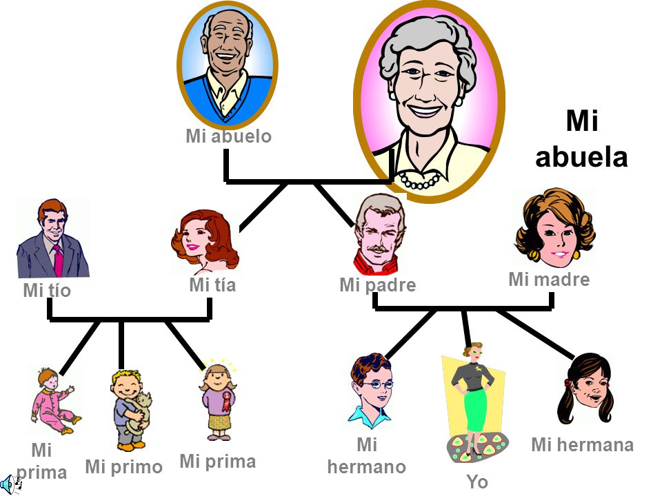 Mi abuela Mi abuelo Mi madre Mi tía Mi padre Mi tío Mi hermano