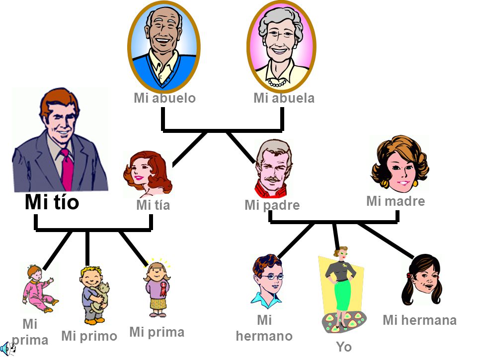 Mi tío Mi abuelo Mi abuela Mi madre Mi tía Mi padre Mi hermano