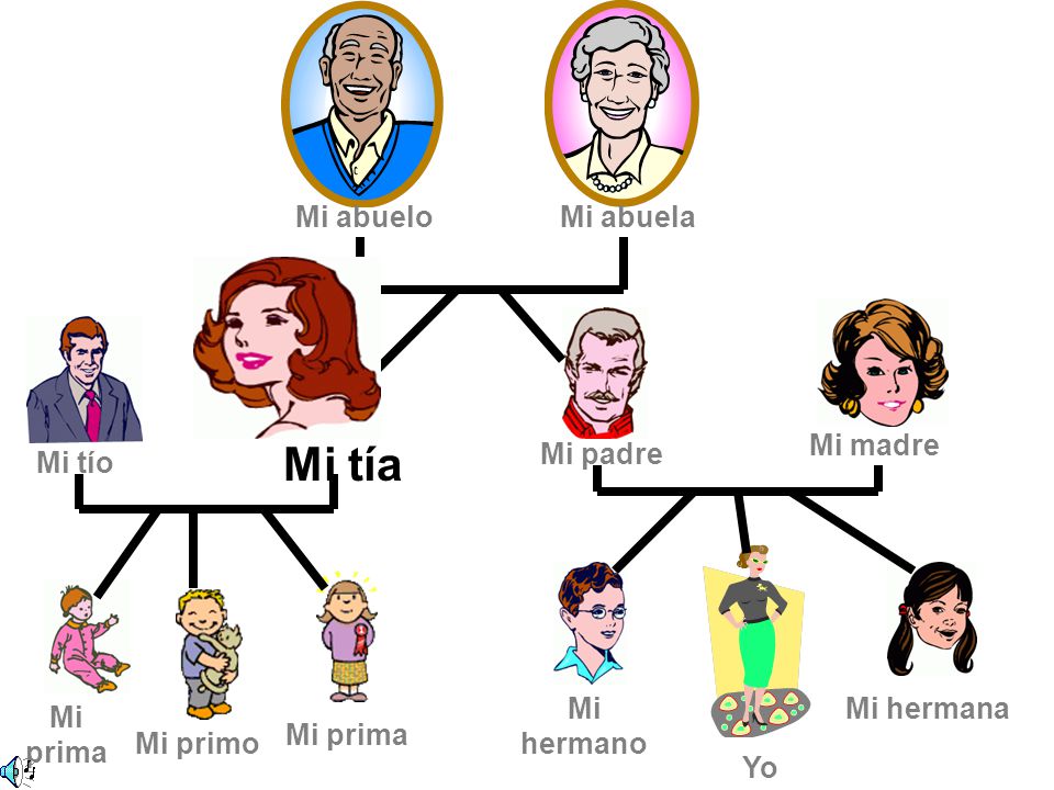 Mi tía Mi abuelo Mi abuela Mi madre Mi padre Mi tío Mi hermano