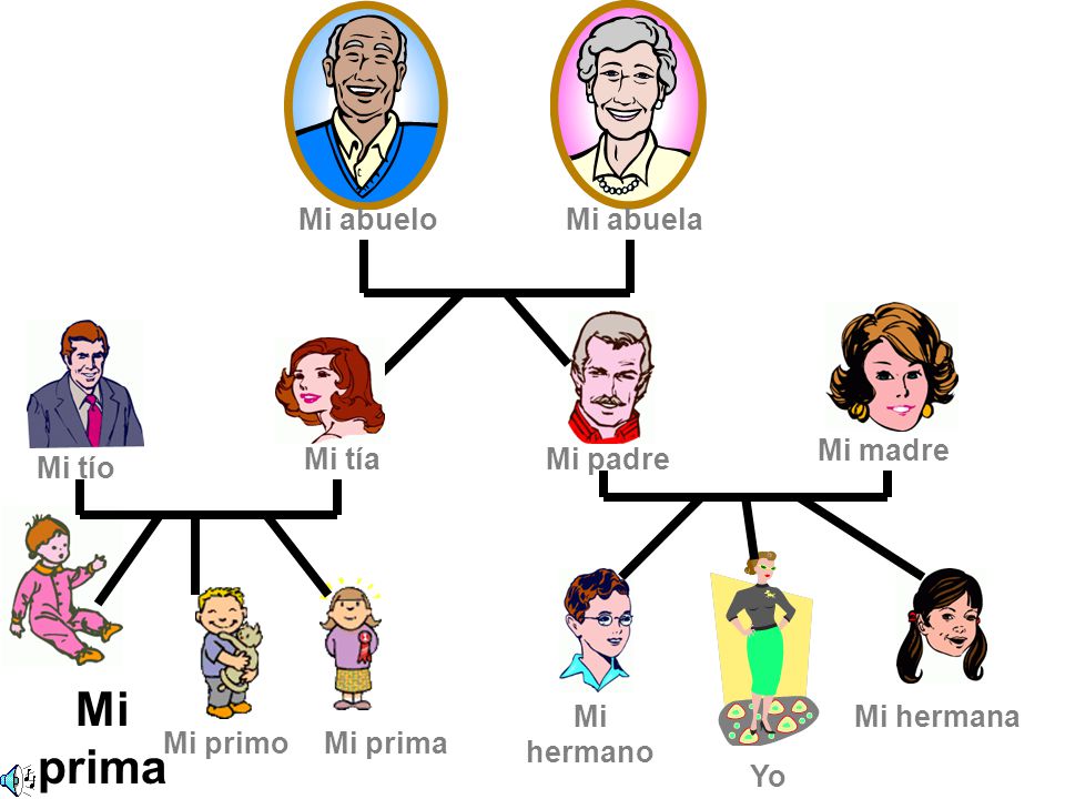 Mi prima Mi abuelo Mi abuela Mi madre Mi tía Mi padre Mi tío