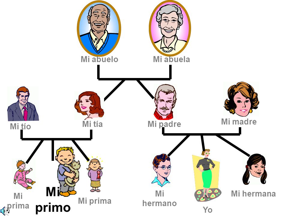Mi primo Mi abuelo Mi abuela Mi madre Mi tía Mi padre Mi tío