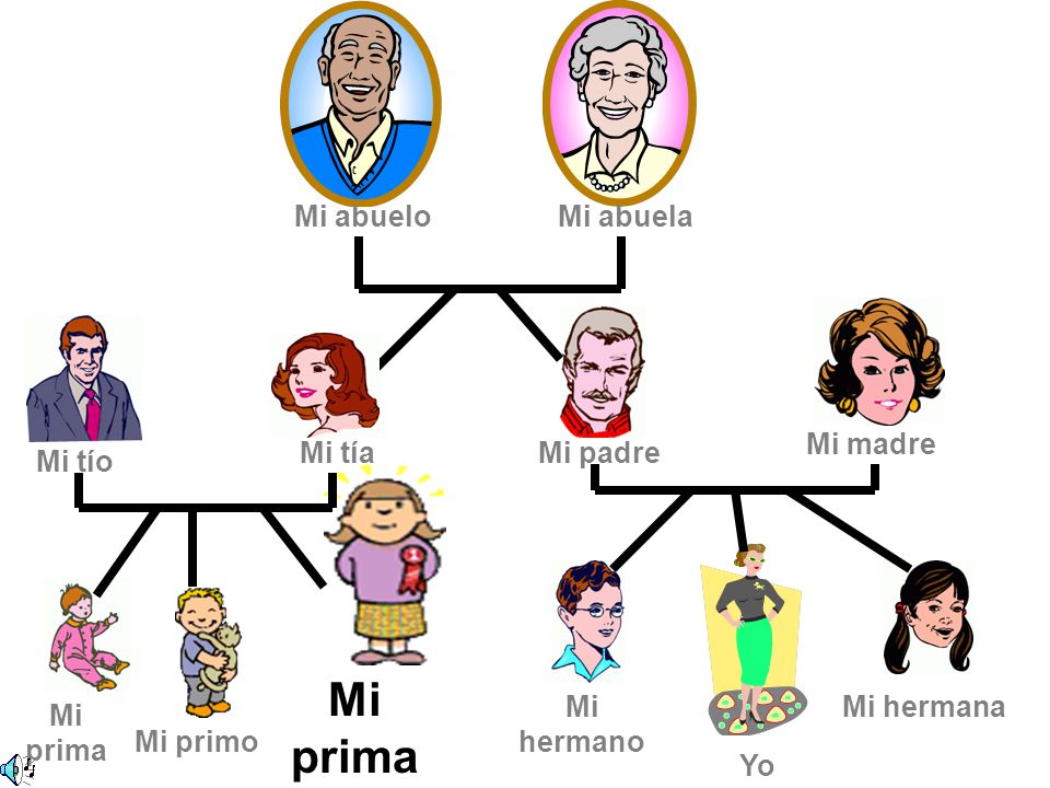 Mi prima Mi abuelo Mi abuela Mi madre Mi tía Mi padre Mi tío