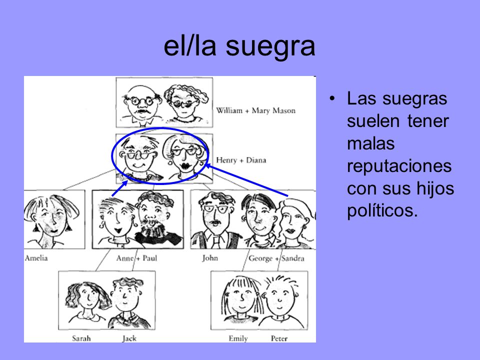 el/la suegra Las suegras suelen tener malas reputaciones con sus hijos políticos.