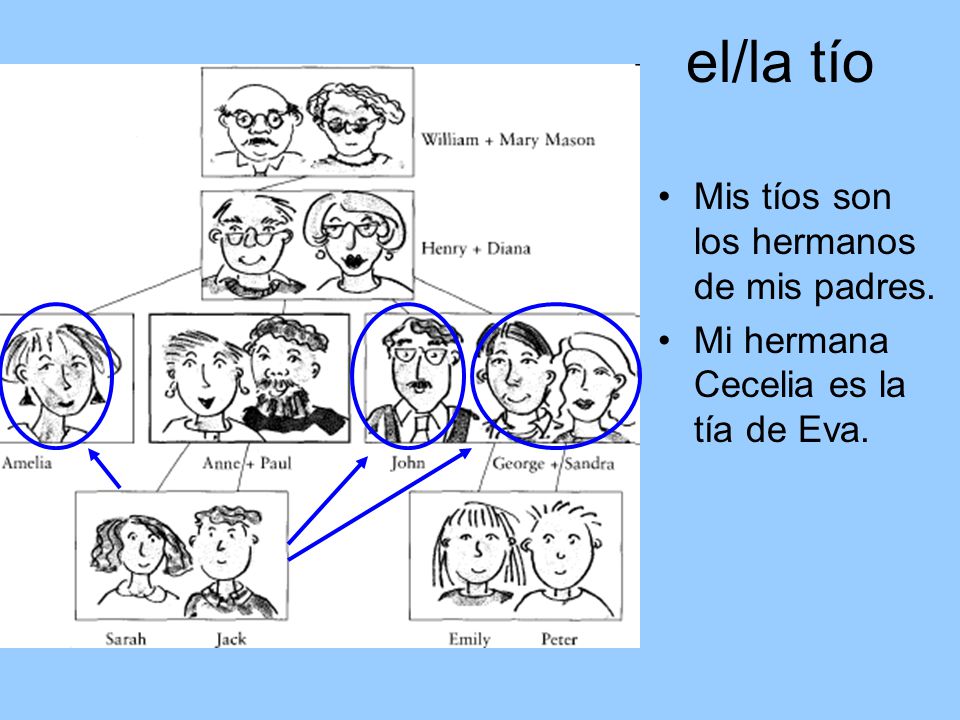 el/la tío Mis tíos son los hermanos de mis padres.