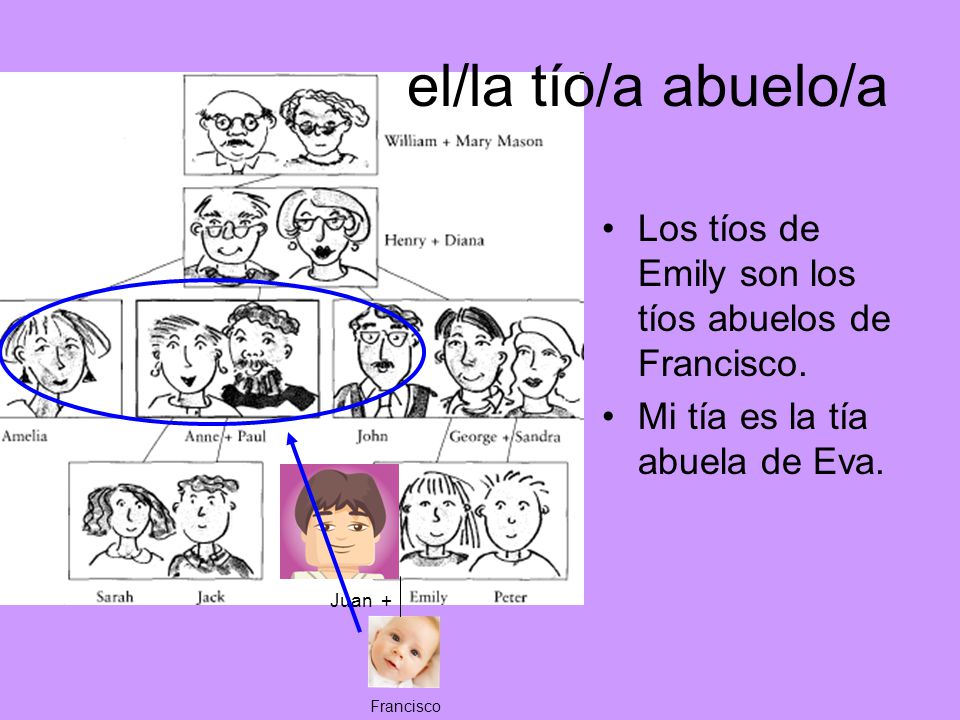 el/la tío/a abuelo/a Los tíos de Emily son los tíos abuelos de Francisco. Mi tía es la tía abuela de Eva.
