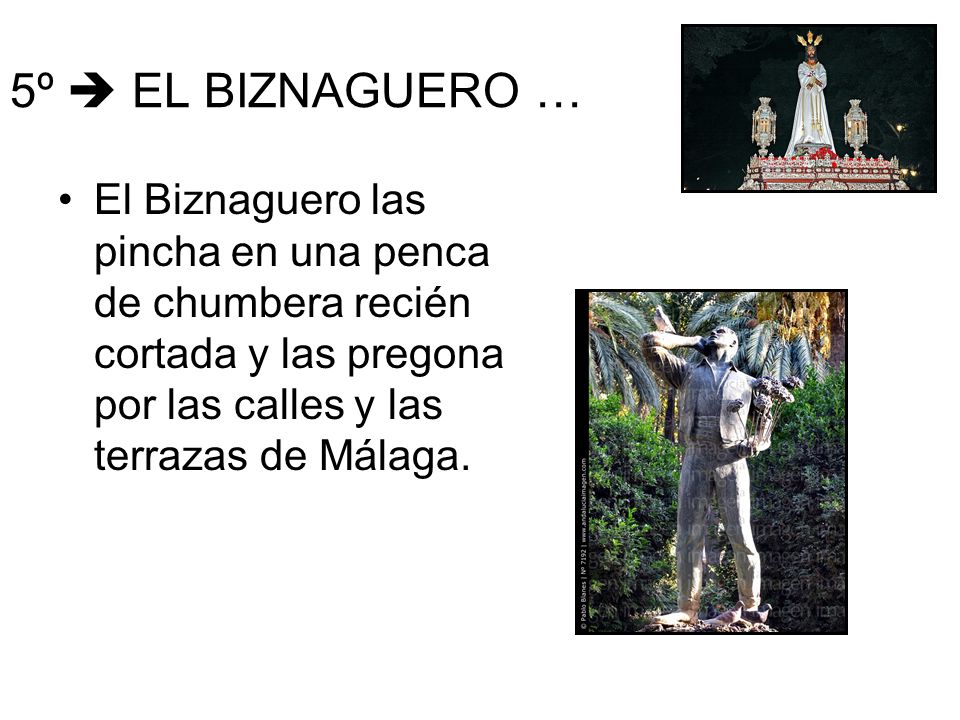 5º  EL BIZNAGUERO … El Biznaguero las pincha en una penca de chumbera recién cortada y las pregona por las calles y las terrazas de Málaga.