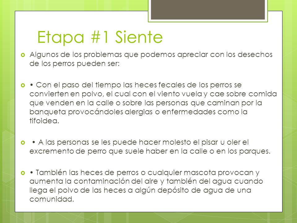 Etapa #1 Siente Algunos de los problemas que podemos apreciar con los desechos de los perros pueden ser: