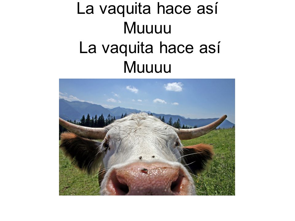La vaquita hace así Muuuu La vaquita hace así Muuuu