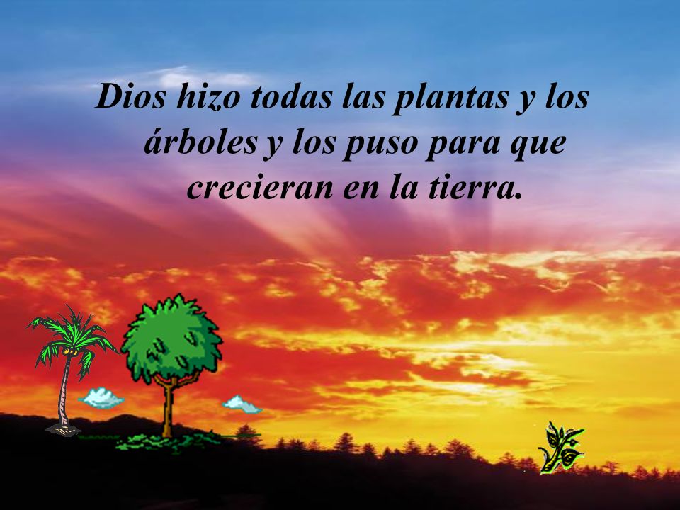 Dios hizo todas las plantas y los árboles y los puso para que crecieran en la tierra.