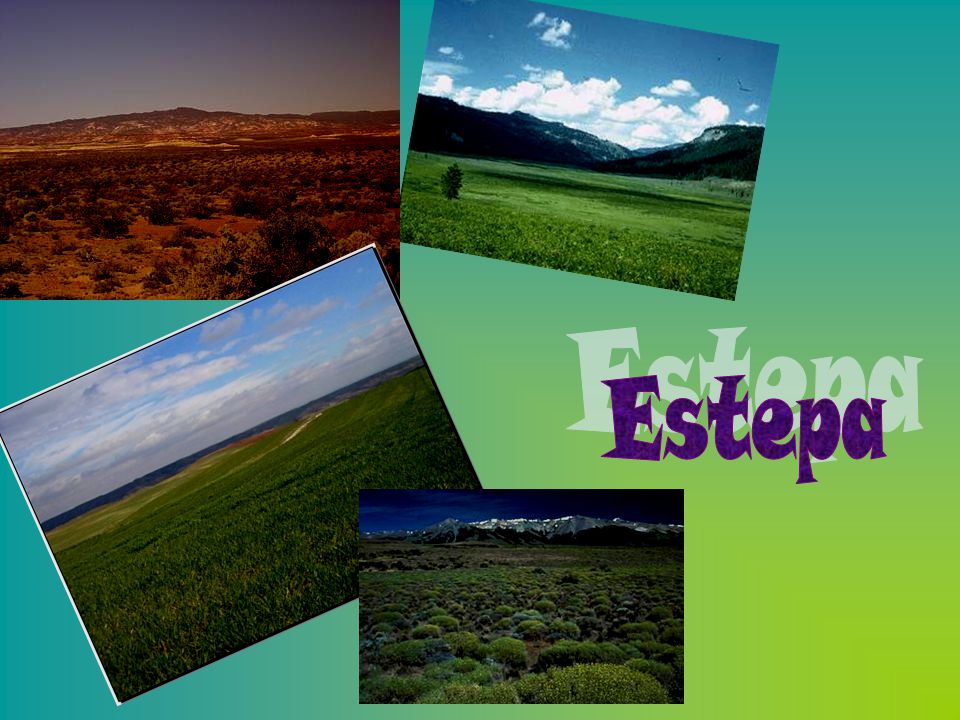 Estepa