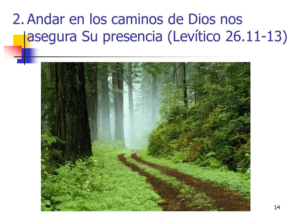 Andar en los caminos de Dios nos asegura Su presencia (Levítico 26