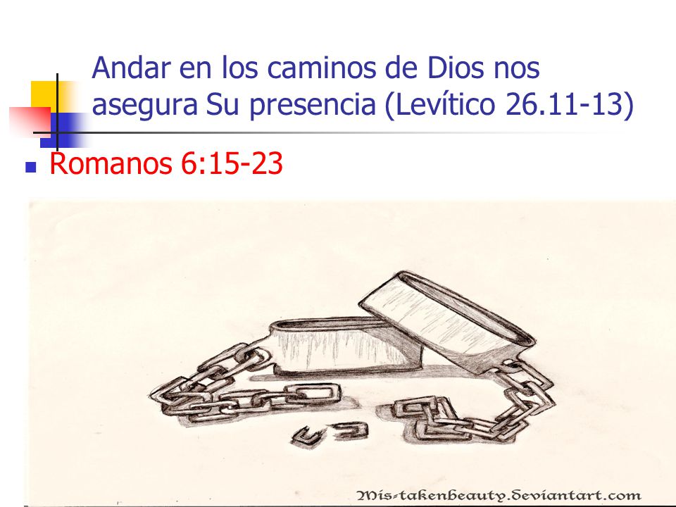 Andar en los caminos de Dios nos asegura Su presencia (Levítico 26