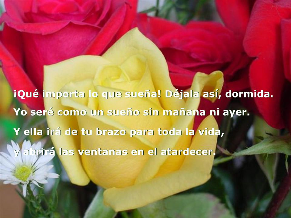 ¡Qué importa lo que sueña! Déjala así, dormida.