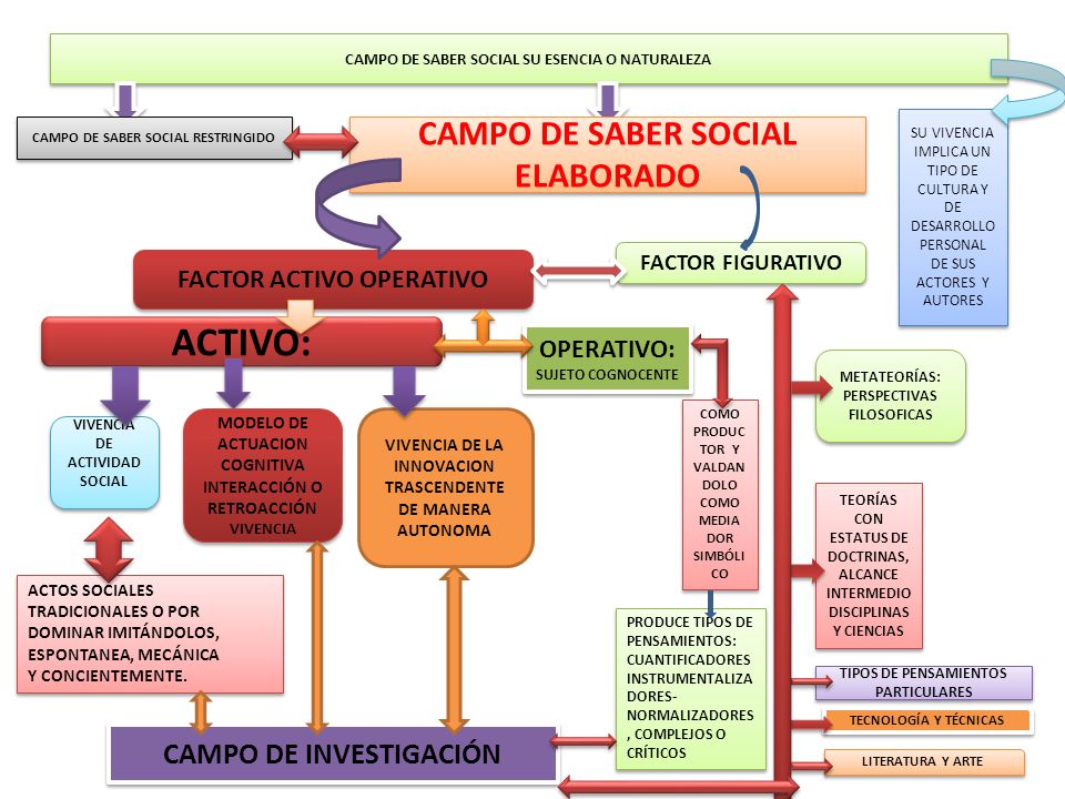 ACTIVO: CAMPO DE SABER SOCIAL ELABORADO CAMPO DE INVESTIGACIÓN