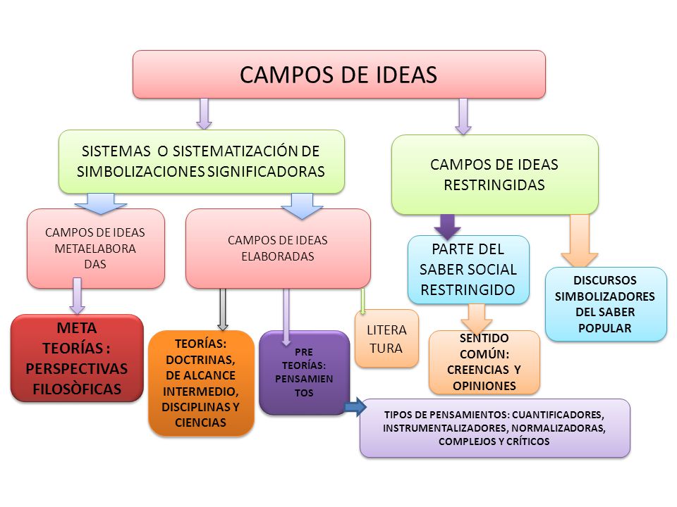 CAMPOS DE IDEAS SISTEMAS O SISTEMATIZACIÓN DE SIMBOLIZACIONES SIGNIFICADORAS. CAMPOS DE IDEAS RESTRINGIDAS.