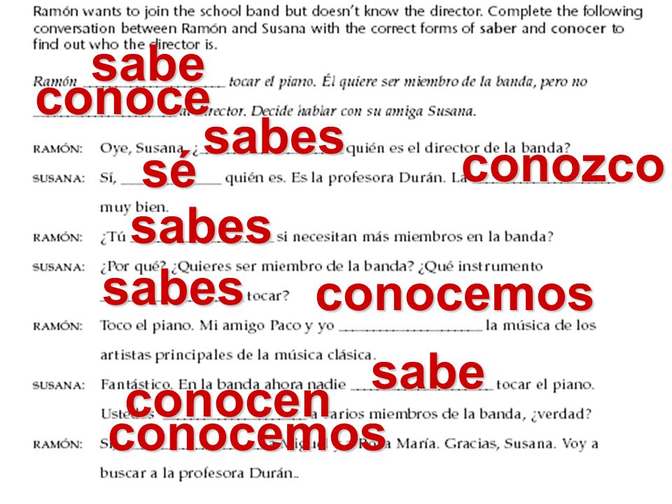 sabe conoce sabes conozco sé sabes sabes conocemos sabe conocen conocemos