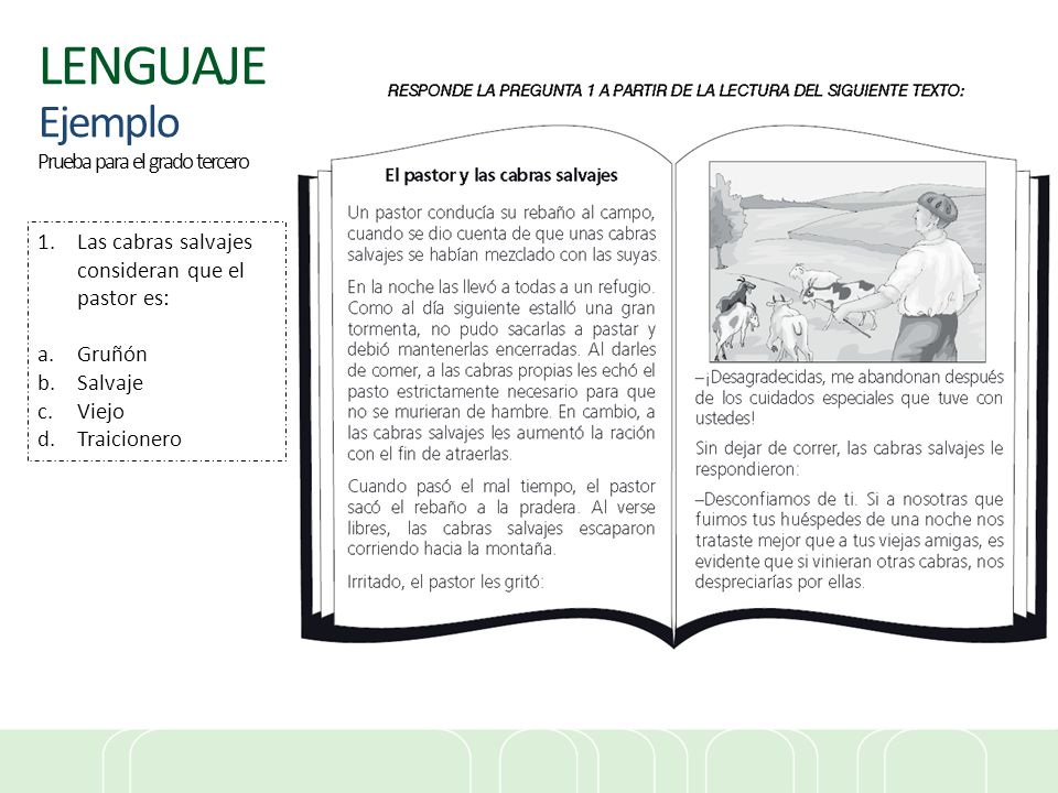 LENGUAJE Ejemplo Prueba para el grado tercero
