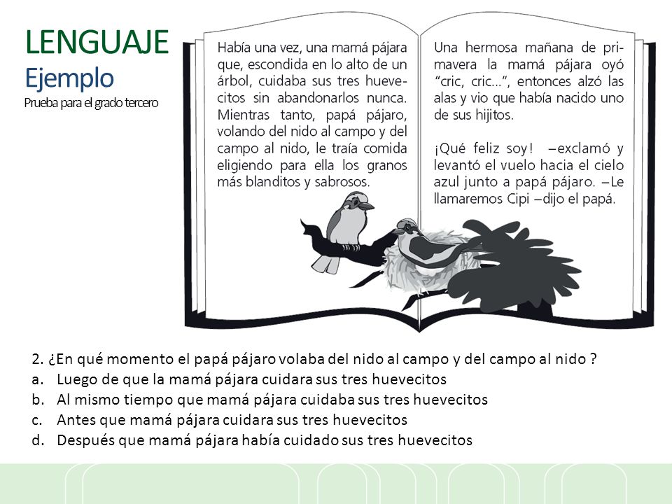 LENGUAJE Ejemplo Prueba para el grado tercero. 2. ¿En qué momento el papá pájaro volaba del nido al campo y del campo al nido