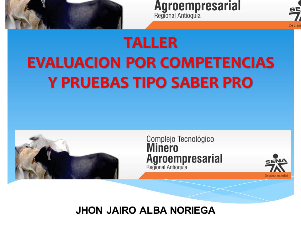 TALLER EVALUACION POR COMPETENCIAS Y PRUEBAS TIPO SABER PRO
