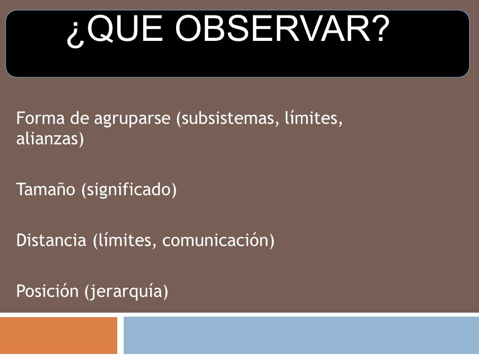 ¿QUE OBSERVAR Forma de agruparse (subsistemas, límites, alianzas)