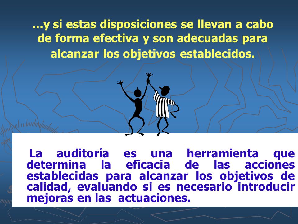 ...y si estas disposiciones se llevan a cabo de forma efectiva y son adecuadas para alcanzar los objetivos establecidos.
