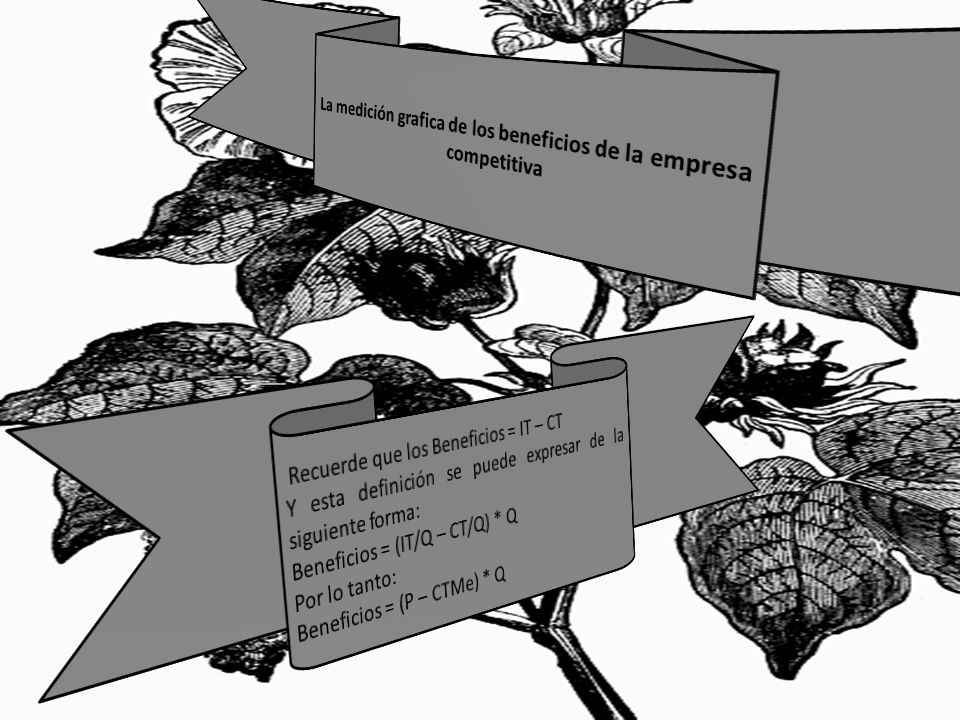 La medición grafica de los beneficios de la empresa competitiva