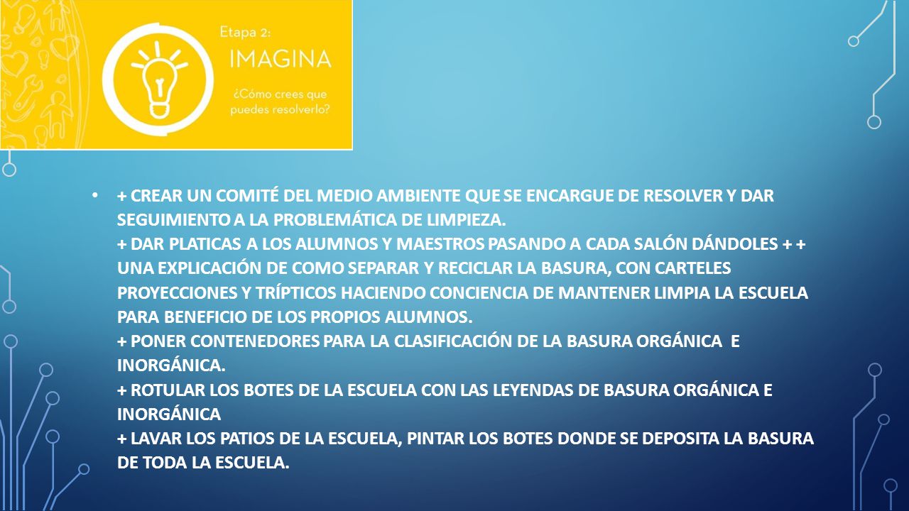 + Crear un comité del medio ambiente que se encargue de resolver y dar seguimiento a la problemática de limpieza.
